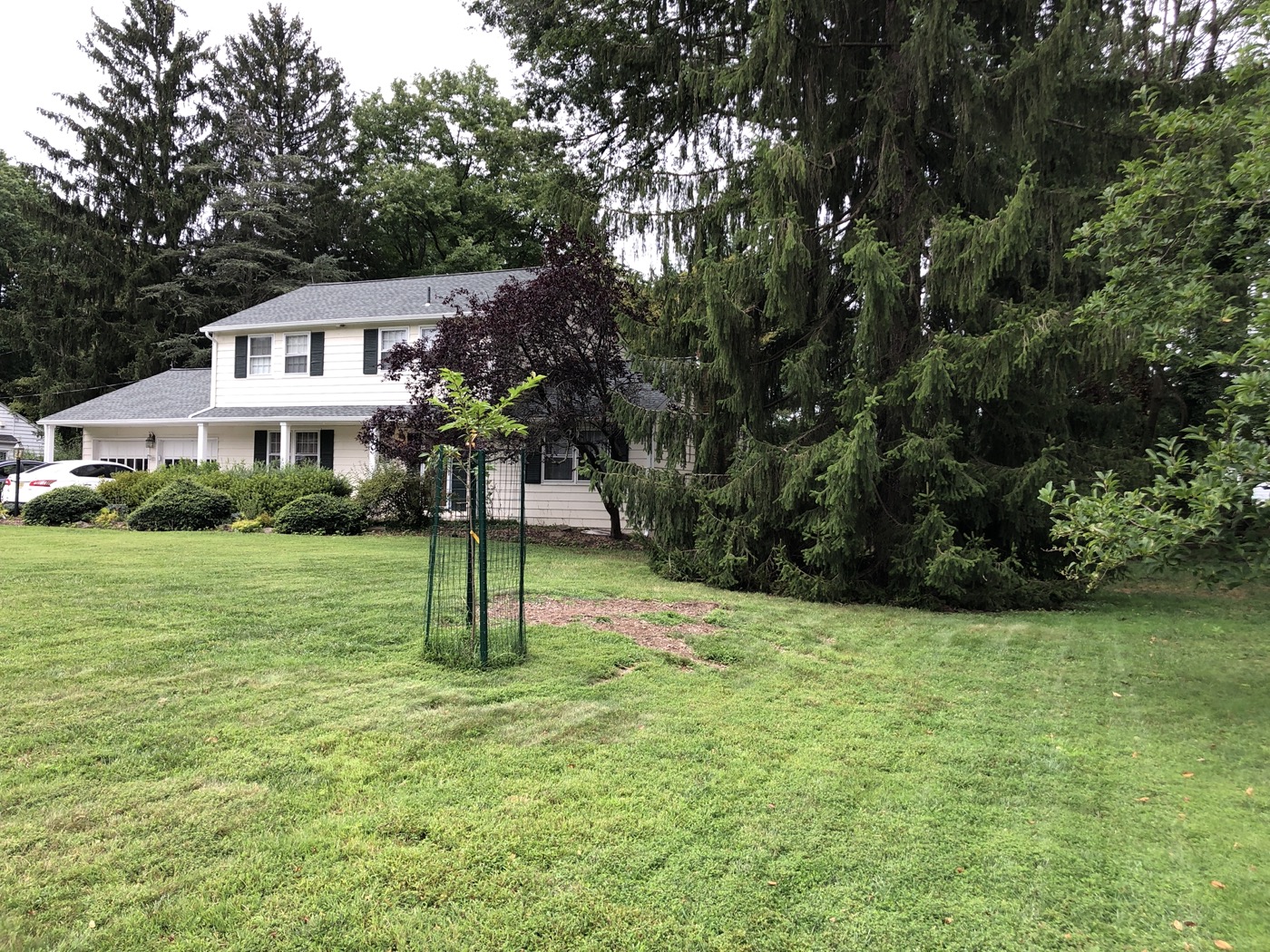 Manicured front lawn and landscaped suburban home entrance